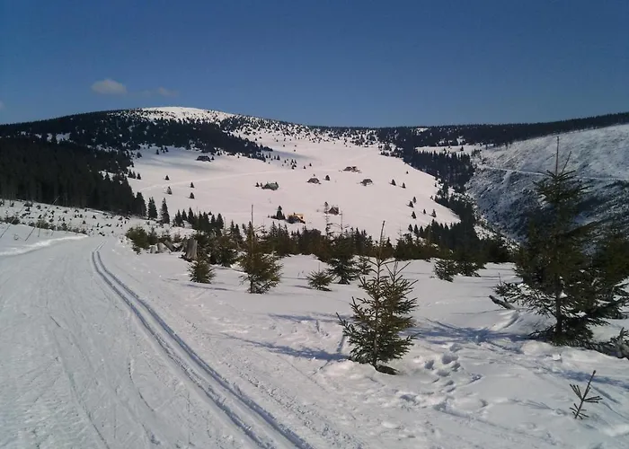 호텔 Barbora Špindlerŭv Mlýn